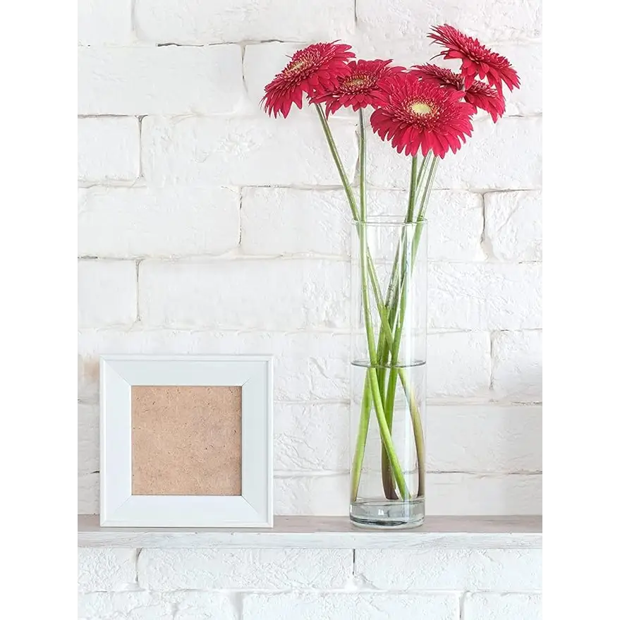 16" Tall Cylinder Glass Vase, 3.5" Wide - Clear Glass Vase for Centerpiece, Floor Vase, Flowers, Candle Holder, Wedding Table Decor by 4E's Novelty