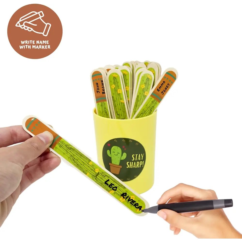 4E’s Novelty 36 pcs Cactus Flip Sticks with Storage Cup Flip Name Sticks Student Grouping Stick Classroom Teacher