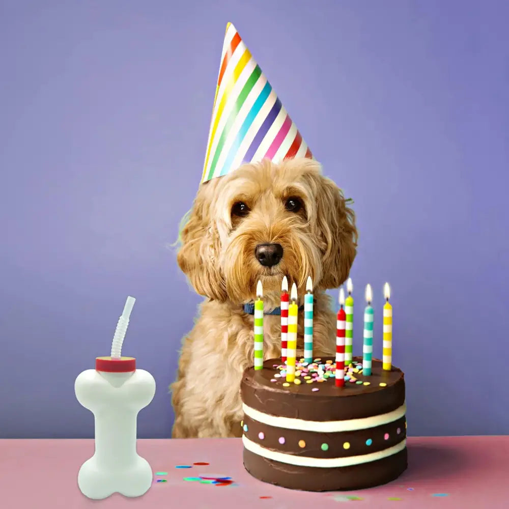 4E’s Novelty 6 Pack Dog Bone Cups with Straws – 14oz Bone Shaped Cups for Dog Themed Parties - Party Favors