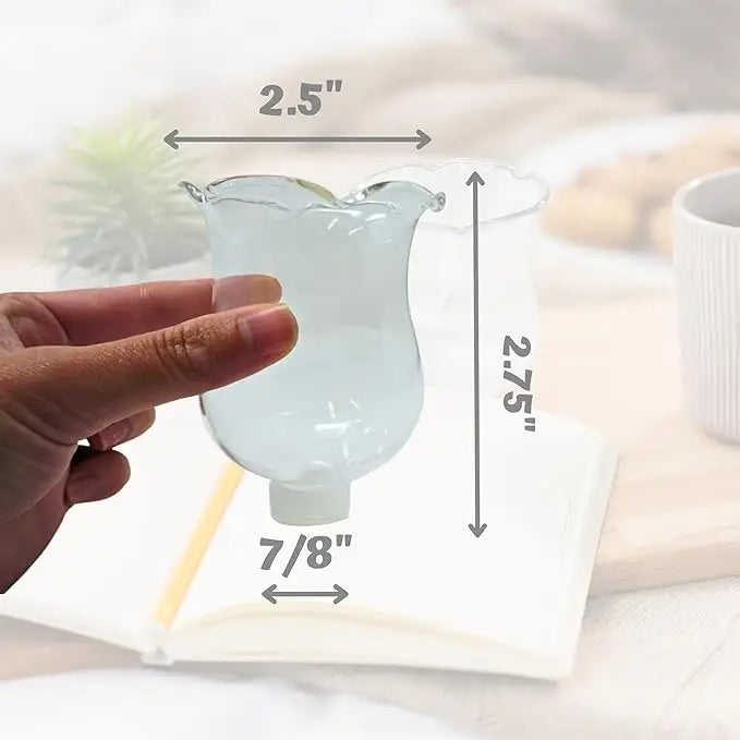 4E’s Novelty Clear Glass Votive Cups 6 Pack - 2.75” Replacement