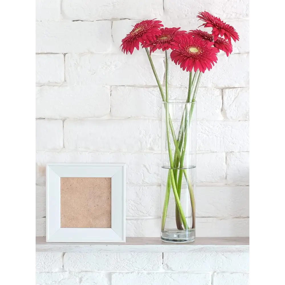 4E’s Novelty Elegant Glass Cylinder Vases Set – Perfect for Home Decor Events & Weddings