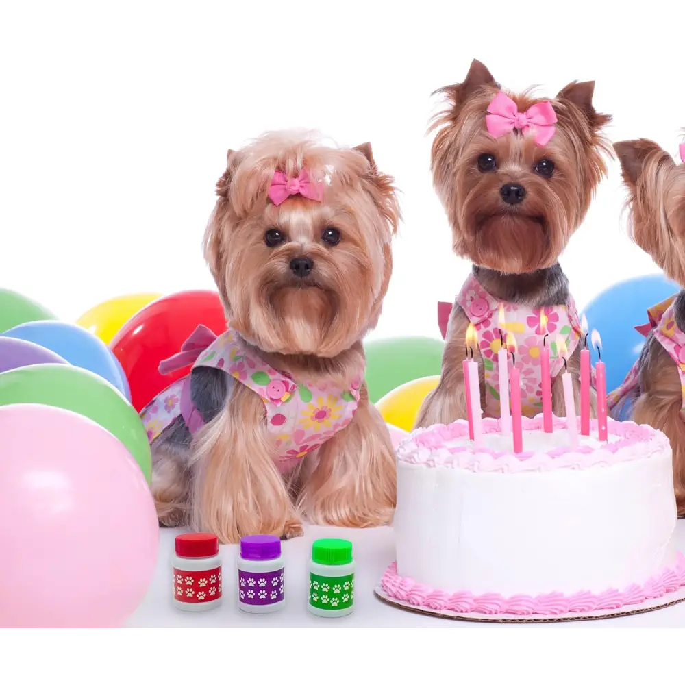 4E’s Novelty Paw Print Bubbles for Kids – Non-Toxic Edible Dog Bubbles Party Favors (Bulk)