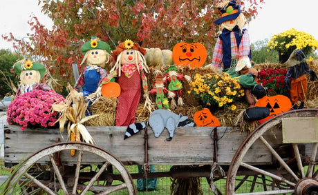 Best Outdoor Halloween Decorations