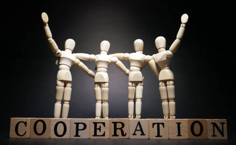 Best Toys for Encouraging Cooperative Play