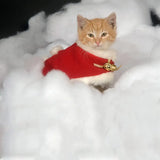 4E’s Novelty 2 Pack Snow Blanket Roll (8 Ft x 30’’ Each) Thick Fluffy Fake Snow Blanket for Christmas Village