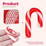 4E's Novelty 500 Pack Christmas Mini Individually Wrapped Candy Canes, Red and White Peppermint Candy Canes, Treats for Holiday Stockings