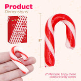 4E's Novelty 100 Pack Christmas Mini Individually Wrapped Candy Canes