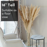 4E's Novelty 16" Cylinder Glass Vase – Elegant Clear Glass Vase for Flowers, Candles & Decor