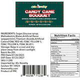 4E's Novelty Christmas Candy Canes, 100 Count Multi Colored Xmas Candies Canes