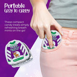 4E's Novelty 4 Pack Christmas Poop Mints – Funny Stocking Stuffers for Teens & Adults