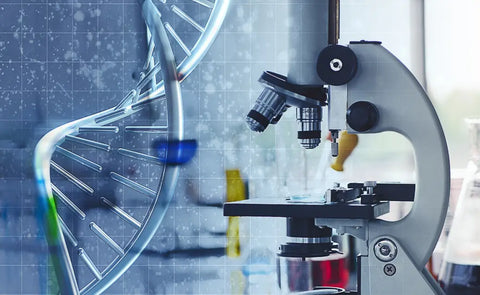 Best Science Kits for Curious Kids