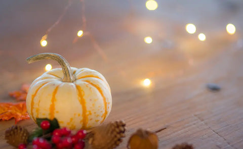 Best novelty Thanksgiving decorations