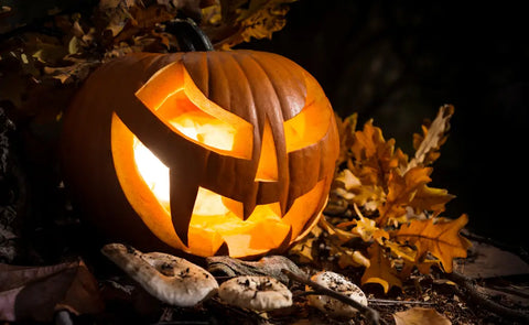 Outdoor Halloween Lighting Tips