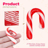 4E's Novelty 25 Pack Christmas Mini Individually Wrapped Candy Canes, Red and White Peppermint Candy Canes, Treats for Holiday Stockings