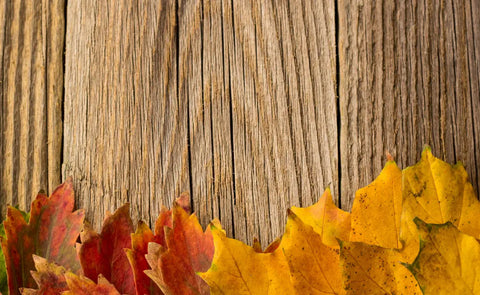How to create a Thanksgiving-themed sensory play area