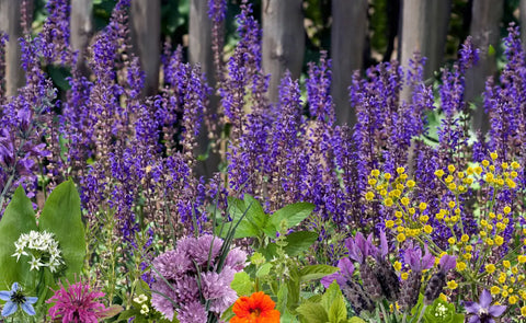 How to Use Plants in Party Decor