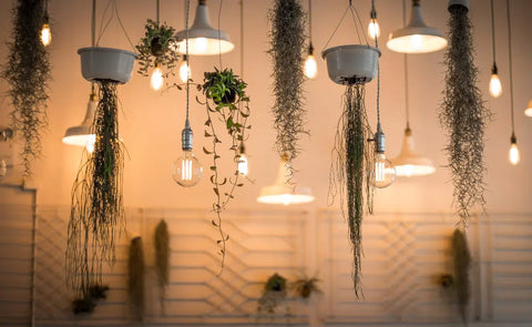 How to Use Plants in Party Decor