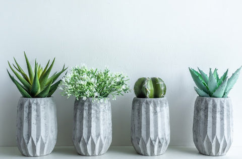 Top 5 DIY Party Favor Ideas