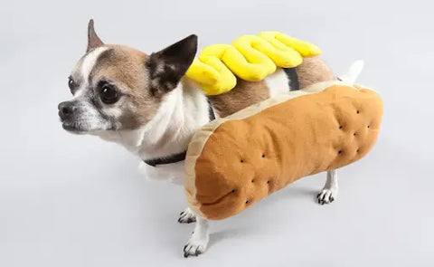 Halloween Costume Ideas for Pets
