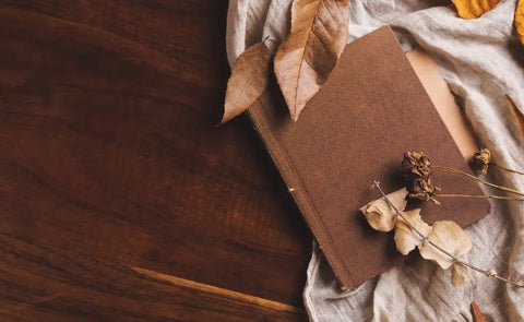 Thanksgiving activity sets for kids to enjoy