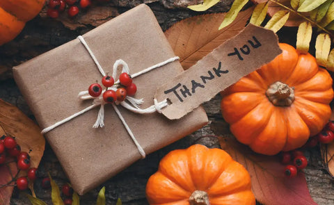 Thanksgiving activity sets for kids to enjoy